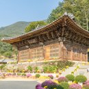 보광사 - 16298 | 보광사