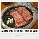 구파발 맛집 진관동 고기집 :: 은평 참나무본가 갈비 후기