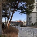 CU 신평하신점 | 청주모충동 네일 맛집, 결담아뷰티 : 손톱 건강까지 생각하는 네일케어+영양 후기 (+이벤트 정보)