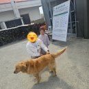 해용농장 | 제주도귤따기체험 제주봉봉감귤체험농장 제주도아이랑가볼만한곳추천