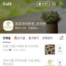 조은아이반찬 네이버블로그