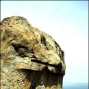 남산손맛 이미지