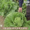 오복할인마트 이미지