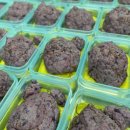 강아지맘마연구소 이미지