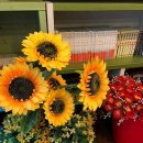 베조아니 이미지