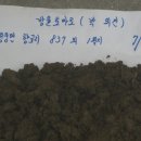 토양웨이