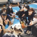 살레시오여자고등학교 이미지