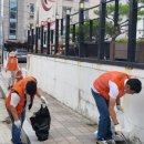 고향의봄길 이미지