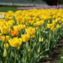 소유축산 이미지