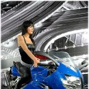 김시향 카카오 검색결과