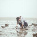 스테이;슬로우 이미지