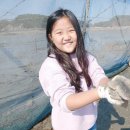 흘곶 | 대부도 갯벌체험 흘곶 갯벌체험장 광어 잡은 리얼 후기