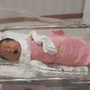 자모의원 이미지