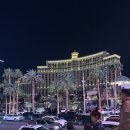 벨라지오관광호텔 | 라스베가스 가볼만한곳 벨라지오 호텔 분수쇼 후기, 시간