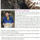 하늘표고버섯 이미지