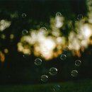 인간행동과사회환경 이미지