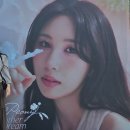 송화로48번길 10 | 2026.4.4 권진아 꽃말 콘서트 'Peony : Another Dream' 후기 (핸드볼 2층 33구역 시야 | 셋리스트)