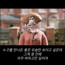 나리노유메 이미지