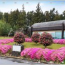 사이프러스골프리조트 이미지