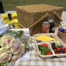 경주 금리단길 밥집 &#39;맛있는한컵&#39; 봉황대 피크닉 도시락 셋트 대여 후기