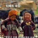 법무법인태진 이미지