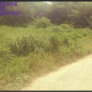 남해-293 이미지