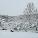 스테이 두리 이미지