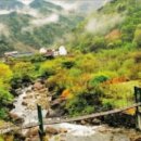 의신 베어빌리지 이미지