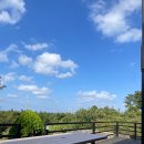 바다품은집 이미지