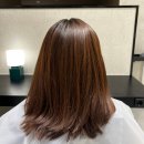 파크포레온 미용실 '유비크 둔촌점' 봄맞이 염색 대만족 후기