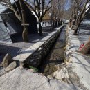 원주두리캠핑장 | 아이와 가기 좋은 원주캠핑장 원주두리캠핑장 후기