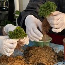 파킹찬스 시네마 토크 | 2026년 1월에 블로그 안 쓰는 사람, 어디 있어?