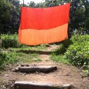 천연염색 이미지