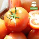 토마토 이미지
