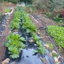 대유마을회관 이미지