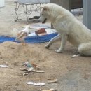 엄마는장금이 이미지