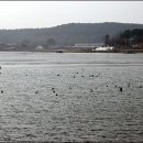 최가축병원