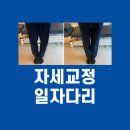 척추순환운동센터
