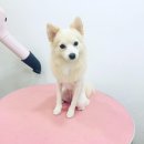미쓰멍 네이버블로그