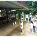 아름목장 이미지