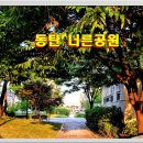 화성 방교동 화성시 동탄구 동탄구 네이버블로그