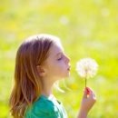 대대당구클럽 이미지