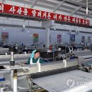 제일피복 이미지