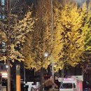 양평역 순대트럭 옛날가마솥순대 후기