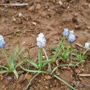 화이트밸리 이미지