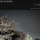 우리집 세탁소 이미지