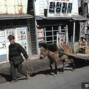 평택성동초등학교 이미지