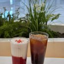 비원뮤직홀 | 대구 원대동 비원뮤직홀 디저트 카페 비원휴카페 리뷰