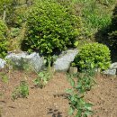 황산타이어 이미지