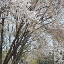 광동리마을회관 이미지